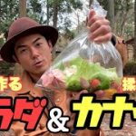 【時短】振って作るサラダ＆お手軽カナッペ！キャンプにぴったり簡単前菜