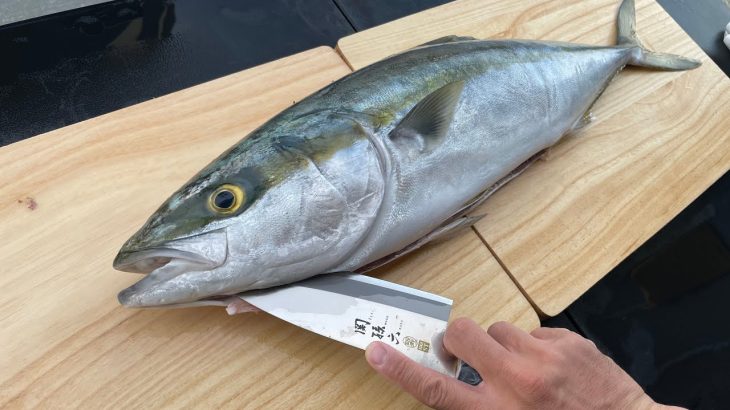 【キャンプ飯】でっかい魚でキャンプ飯を作ってみる！