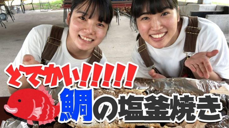 どデケエ魚を塩に閉じ込めたら美味しい料理になった【キャンプ女子2人のキャンプ飯】鯛の塩釜焼き