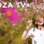 【VEGETABLE GYOZA】キャンプ飯！肉なしキャベツ餃子。