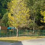 #ソロキャン　#キャンプ場  　#キャンプ初心者  　#デイキャンプ　【宇津峡公園キャンプ場】　京都で、ただソロキャンを楽しむ　　