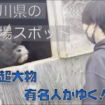 【キャンプ】神奈川のおすすめ穴場キャンプ場大公開しちゃいます！！