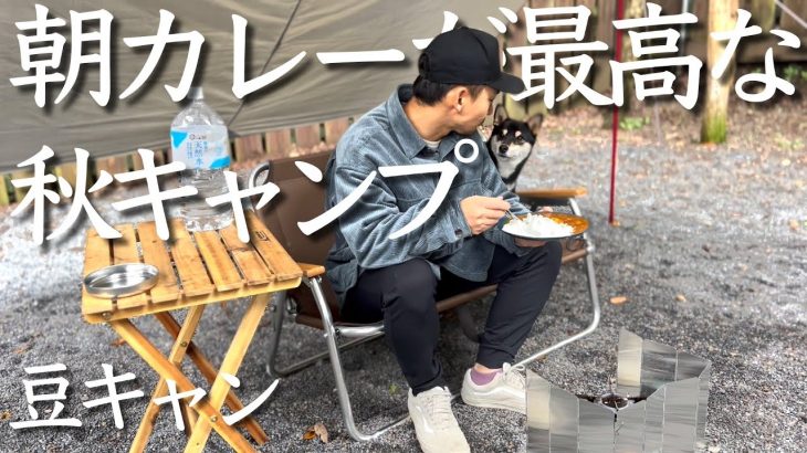 豆柴との秋キャンプは朝カレーが最高。【豆キャン】