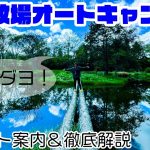 【五光牧場オートキャンプ場】白樺の幻想的な雰囲気や八ヶ岳を見渡せる絶景サイト。様々な顔を持つ大人気フリーサイトキャンプ場［長野キャンプ場紹介］