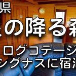 群馬県 人気キャンプ場 星の降る森のログコテージ シグナスの室内紹介動画