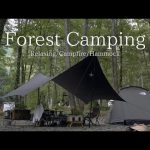 【夫婦キャンプ】お気に入りの キャンプ場で 秋キャンプ を楽しむ おすすめキャンプ場 奥琵琶湖キャンプ場 vlog,camp,camping,hiace