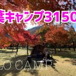 【ソロキャンプ】紅葉最高！キャンプ最高！！紅葉キャンプ3150！！！