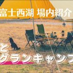 【PICA富士西湖キャンプ場レポート】子犬全力疾走ドッグラン初体験！キャンプでシーフードアヒージョとエッグバーグマフィン