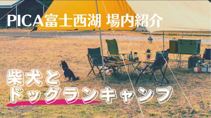 【PICA富士西湖キャンプ場レポート】子犬全力疾走ドッグラン初体験！キャンプでシーフードアヒージョとエッグバーグマフィン