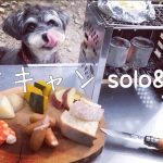 カマンベールチーズフォンデュをする秋晴れデイキャンプ！ソロ＆シュナウザー★