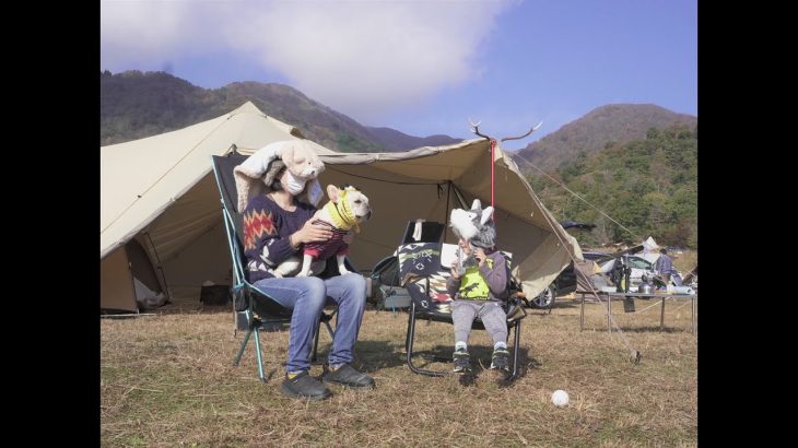 【関西人気キャンプ場】マキノ高原キャンプ場【ワンコとキャンプ】