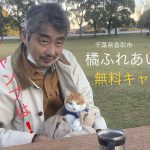 旅猫まるちゃんと行く無料キャンプ場の旅第4弾‼️  オフシーズンの冬こそ静かに楽しめる地元千葉のおすすめキャンプ場 ！　#ルーフテントマジョリーナ#無料キャンプ場
