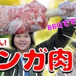 【マンガ肉】かんたんレシピでBBQをさらに楽しく☆わいわいデイキャンプ☆　高級うみろんチャンネル