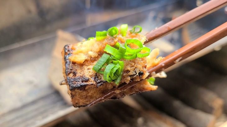 今年最後のキャンプ 🐱猫ちゃんと一緒に ご飯食べたよ