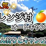 【千葉】みかん狩りができるキャンプ場。オートなのに安い！オレンジ村オートキャンプ場！千葉県、大多喜町、関東、格安、無料キャンプ場、房総