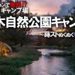 【冬キャンプ】薪ストーブで寒さ対策！最高の無料キャンプ場でお籠り冬キャンプを楽しむ – 墓ノ木自然公園キャンプ場/富山