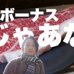 【ソロキャンプ】冬のボーナスをキャンプで超散財したら幸せ訪れた。