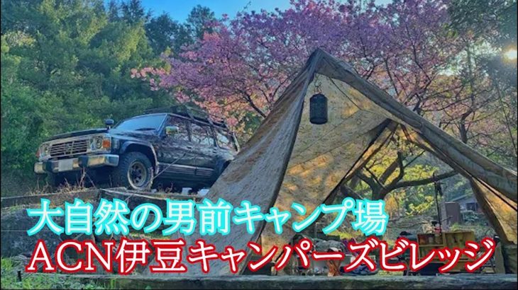静岡県のおすすめキャンプ場　伊豆キャンパーズビレッジさんの紹介です　全サイト紹介　自然あふれる素敵なキャンプ場です