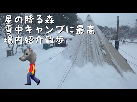 星の降る森　キャンプ場紹介　都心からもアクセス良い◎ 群馬県　雪中キャンプに最高です！！