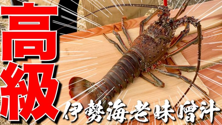 出汁不要！キャンプで伊勢海老のお味噌汁の作り方