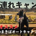 《犬連れ@森のまきばキャンプ場》超オススメな３つのポイント