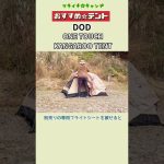 【おすすめ☆テント】 DOD ワンタッチカンガルーテント