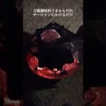 お気に入り！#キャンプギア#恐竜#T•レックスver．