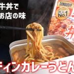 【メスティン女子】牛丼で過去最高に美味しいカレーうどん爆誕🎊【料理｜レシピ｜キャンプ飯｜縁側】
