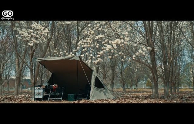 【GOGlamping】 パップテント花見キャンプ日記