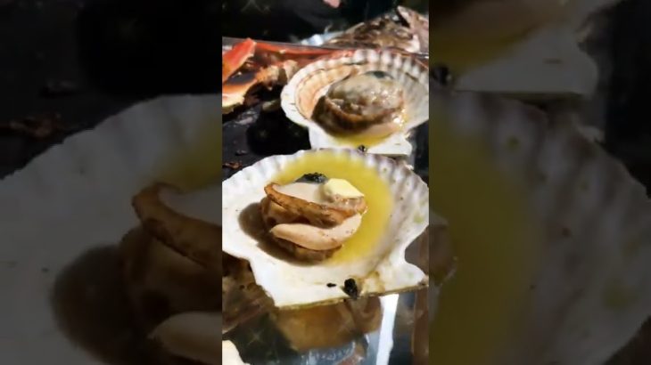 魚屋がキャンプ飯を作ってみた結果… #Shorts