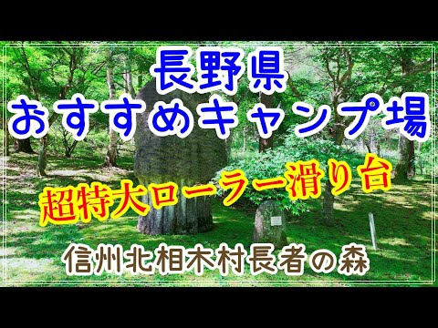 【長野県おすすめキャンプ場】