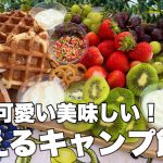おしゃれで簡単　キャンプ飯 女子キャンプ 可愛いオシャレな朝食を作ってみたよ！フルーツ盛り合わせプレート