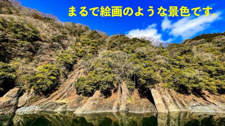 【青野原野呂ロッジキャンプ場(紹介)】エメラルドグリーンの道志川を眺めながらキャンプができる絶景キャンプ場(神奈川キャンプ場)
