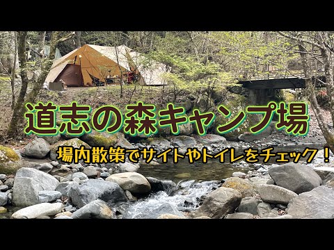 道志の森キャンプ場のサイトやトイレをチェック！ソロやファミリーおすすめエリアを紹介！