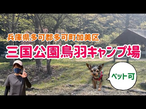 【キャンプ場紹介】ペットOKでリーズナブルなキャンプ場。#アウトドア#キャンプ#ソロキャン#三国公園鳥羽キャンプ場#関西穴場キャンプ場#犬連れキャンプ#兵庫県キャンプ場#ソロキャンプにおすすめ