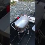 【キャンプ飯】簡単！本格じゃがいもグラタン#Shorts 【グラタン】