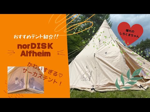おすすめテント紹介！norDISK♡Alfheim