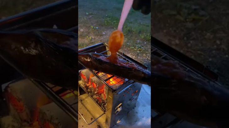 【丸ごと】焼いちゃいます。ナスの器のミートソース。#shorts #キャンプ #キャンプ飯 #キャンプ料理 #camping #camp #車中泊#