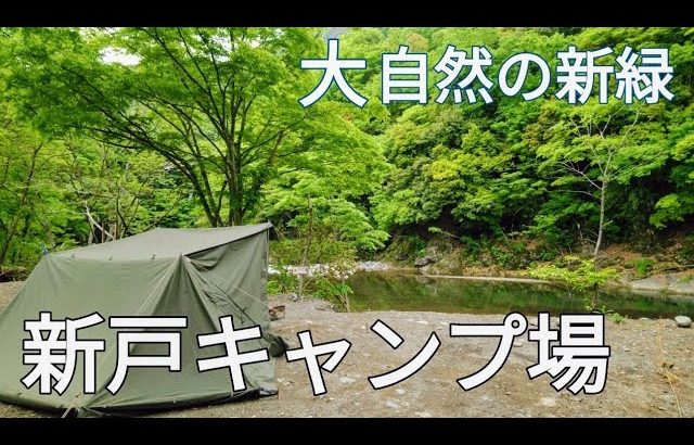 【オススメキャンプ場】綺麗な新緑の中でソロキャンプ【新戸キャンプ場】