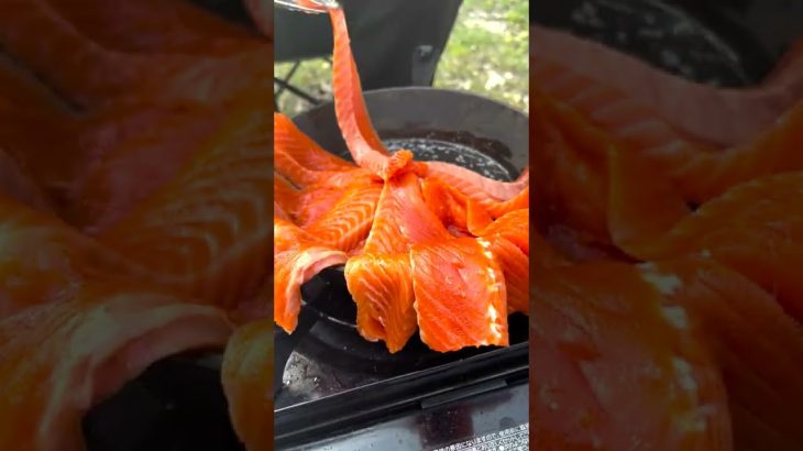 【キャンプ飯】サーモン✖️チーズが世界で一番美味い説www #Shorts