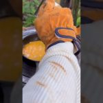 【ひとり山の中で夕ごはん3】今回は焦がしニンニクの香るチャーハン作ってみた