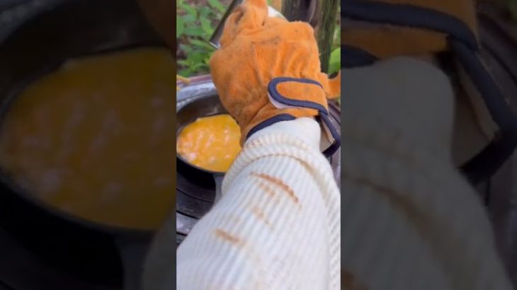 【ひとり山の中で夕ごはん3】今回は焦がしニンニクの香るチャーハン作ってみた