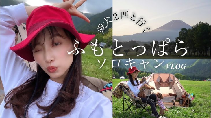 Vlog/ソロキャン/絶景ふもとっぱら/愛犬2匹と行く/おすすめスポット紹介