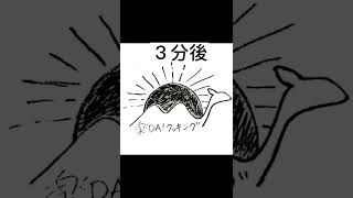 ホットサンドメーカーでペッパーランチ作ってみた。#shorts #料理 #キャンプ飯 #キャンプ #ソロキャン #レシピ  #アレンジレシピ #簡単レシピ #楽ック #メスティン  #メスティンレシピ