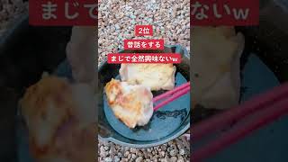 【キャンプ飯】嫌な大人あるあるを言いながら肉を焼く #shorts