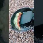 【キャンプ飯】チーズおつまみ×ネギが酒飲みには最高すぎた…#shorts