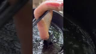 【キャンプ飯】豪快！トンテキを食す！ #ソロキャンプ #solocamping #キャンプ飯 #トンテキ #ddtarp #shorts