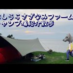 《キャンプ場紹介》にしうらさざなみファーム　駿河湾と富士山を同時に見れる絶景キャンプ場　場内散歩紹介
