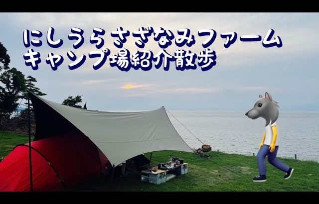 《キャンプ場紹介》にしうらさざなみファーム　駿河湾と富士山を同時に見れる絶景キャンプ場　場内散歩紹介