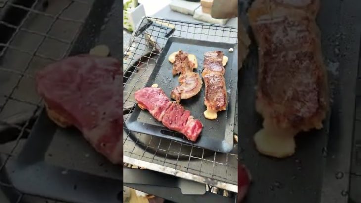 キャンプ飯　フラフラで倒れそうだったので急いで肉焼いて食う🥩